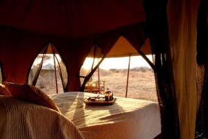 Tarangire Safari Camp