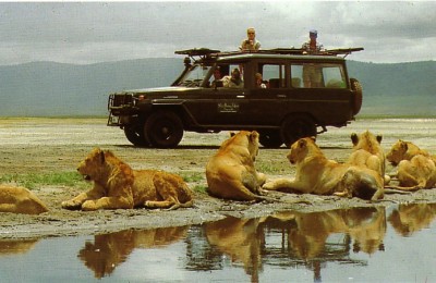 Africa Experiences |Masai Mara Luxury Safari