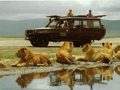 Africa Experiences |Masai Mara Luxury Safari
