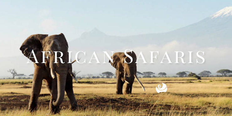 African safari tour