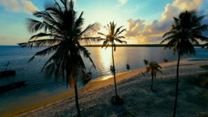 Mafia Island Base Camp