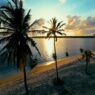 BASECAMP_MAFIA_ISLAND_Oceanview Mafia Island Base Camp