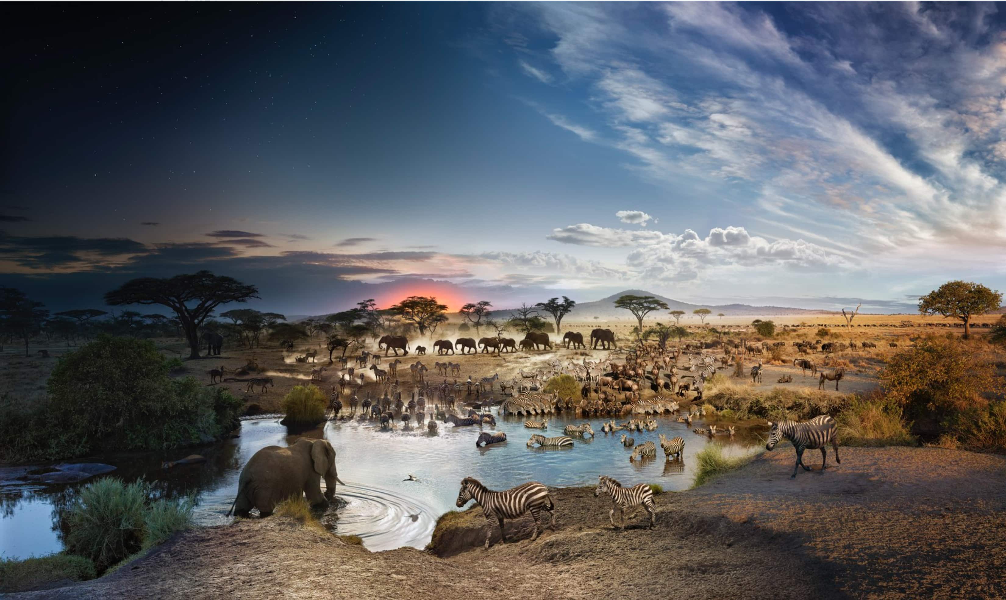 Day to Night - Serengeti