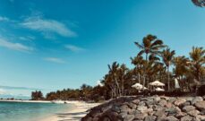 Mauritius tropical beach following a Victoria Falls and Chobe safari