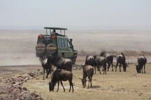 Serengeti Migration Safari Tanzania