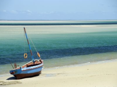 Durban Beach and Wildlife Safari