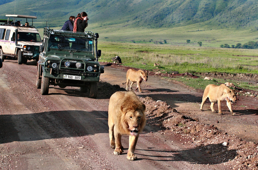 Jeep-safari-in-Africa