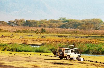 Tanzania Elewana Safari