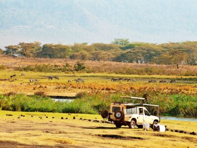 Tanzania Elewana Safari