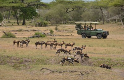 Selous Safari Ras Kutani Beach