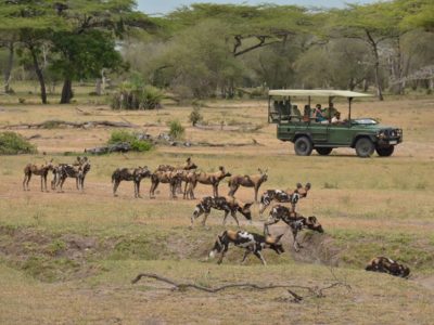 Selous Safari Ras Kutani Beach