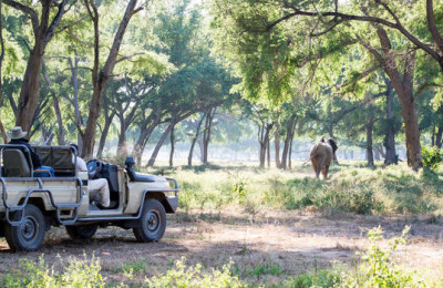 Safari In Zambia and Victoria Falls