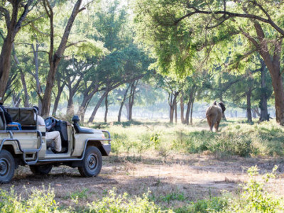 Safari In Zambia and Victoria Falls