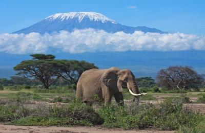 Mount Kilimanjaro Climb