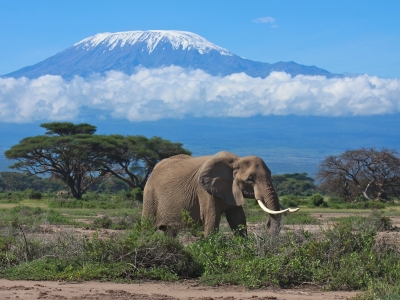 Mount Kilimanjaro Climb