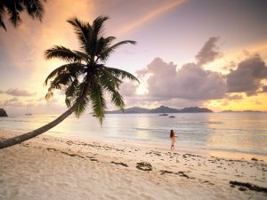 Tropical beach at sunset in the Seychelles