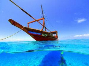 zanzibar diving excursions