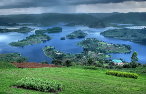 bwindi forest uganda